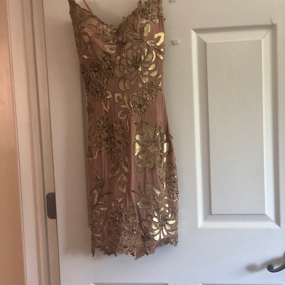 Hand Painted Ema Savahl Dress - Picture 7 of 7